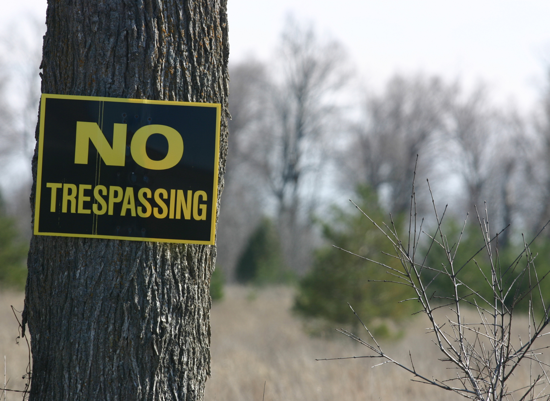 Squatter Rights in Fort Worth