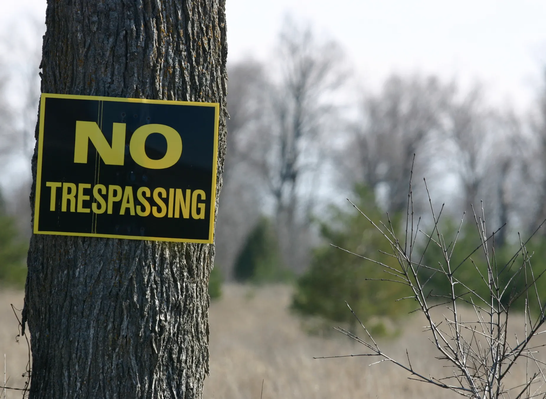 Squatter Rights in Fort Worth