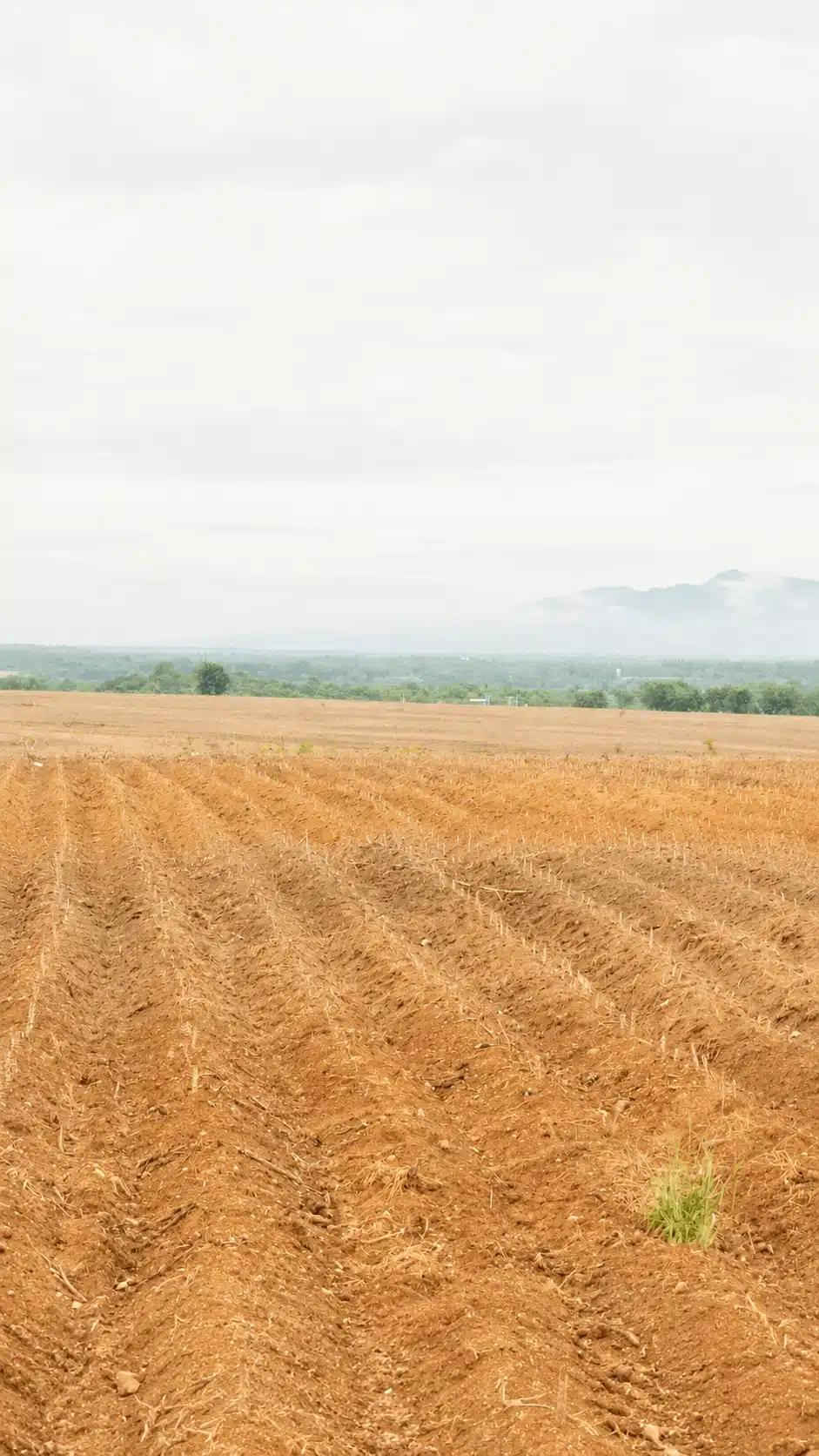 sell your land for cash Texas Texas