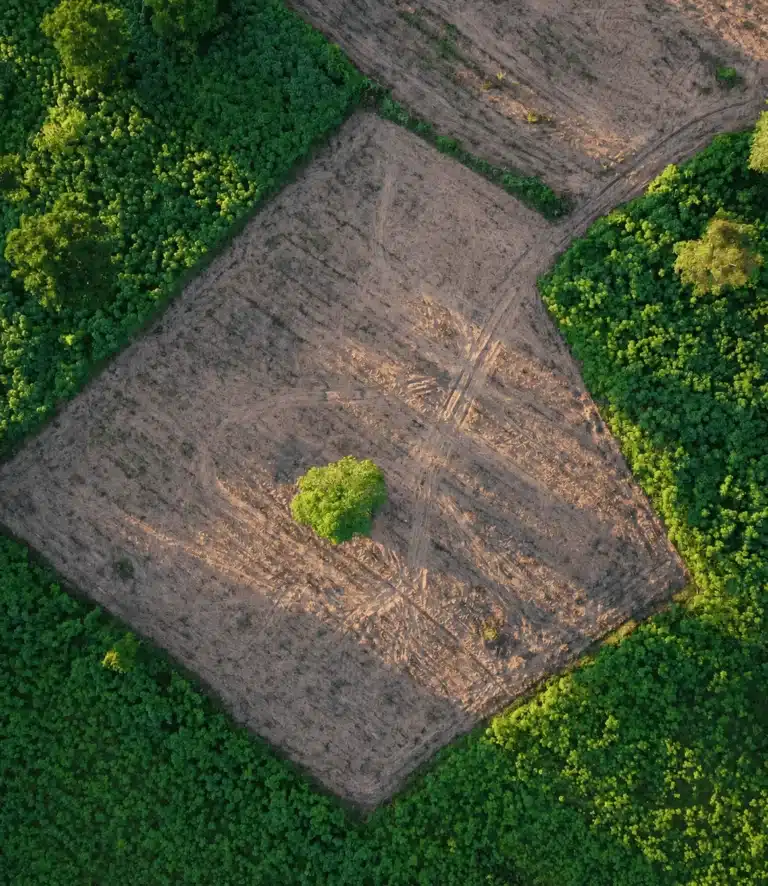 Aerial view of vacant Texas land surrounded by trees, representing property owners looking to sell land quickly for cash.